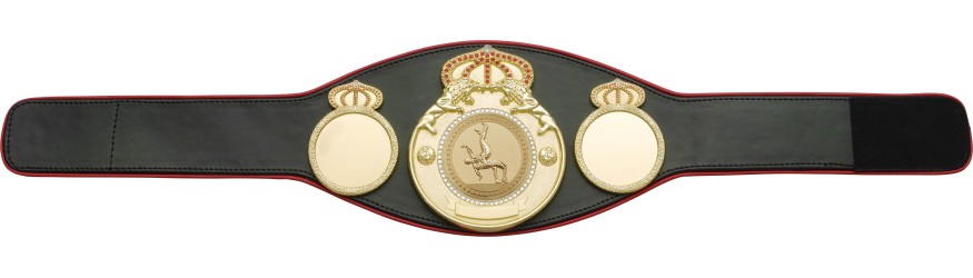 WRESTLING CHAMPIONSHIP BELT PROLION/G/WRESTG - AVAILABLE IN 6+ COLOURS WRESTLING CHAMPIONSHIP BELT PROLION/G/WRESTG - AVAILABLE IN 6+ COLOURS